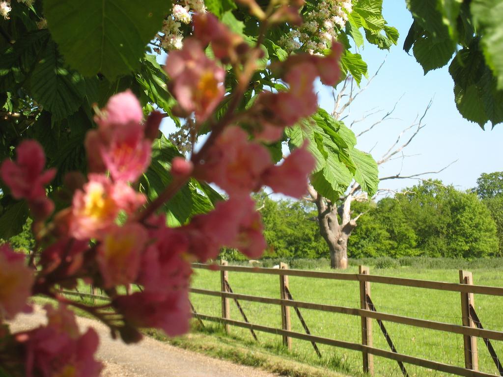 Colston Hall Farmhouse B&B แฟรมลิงงัม ภายนอก รูปภาพ